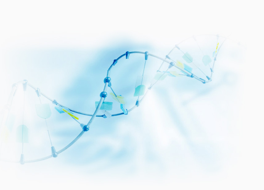 1548145371744614XjOy.jpg 生产理念.jpg